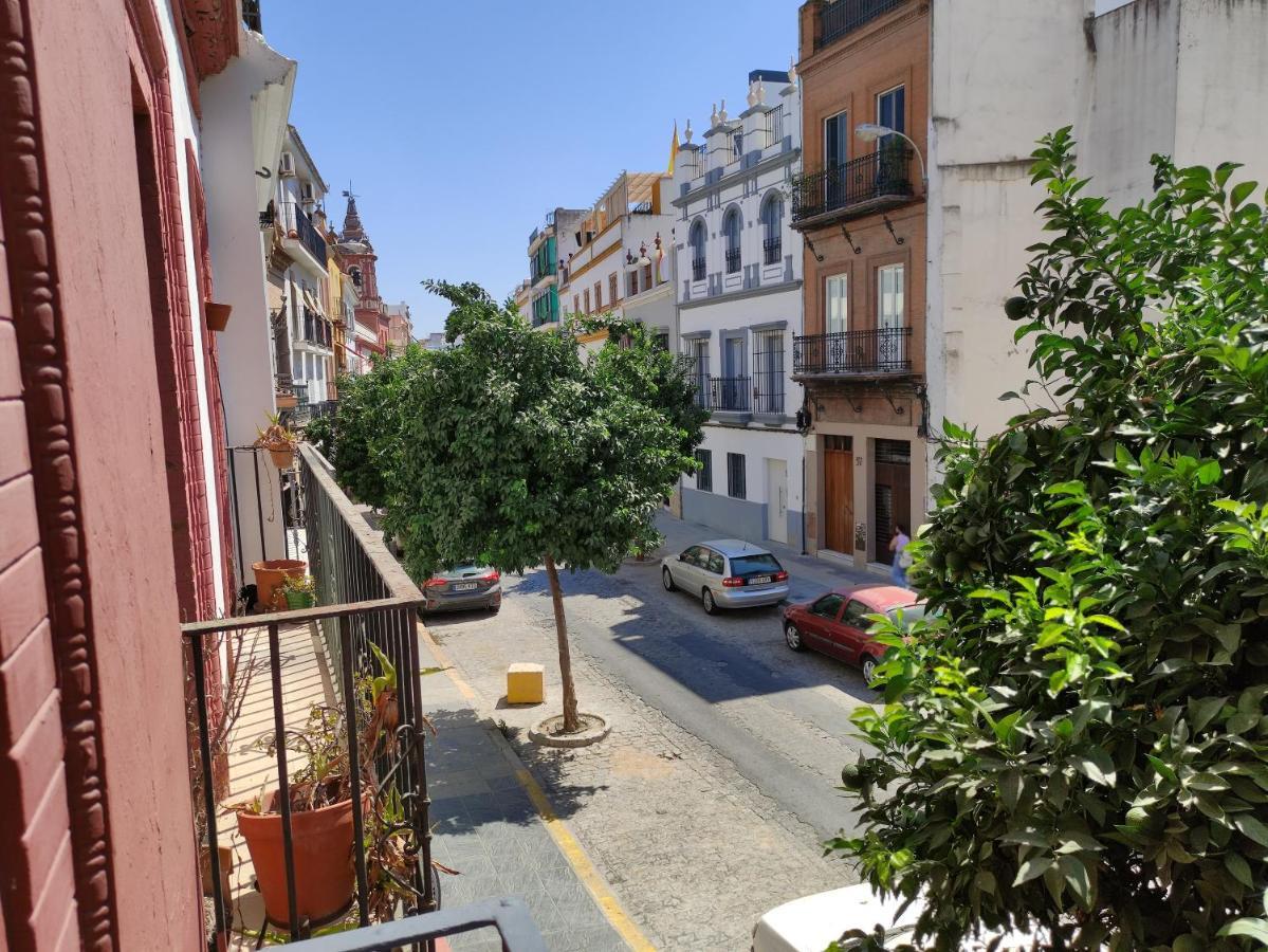 Almona Junto Al Rio - Kainga Homes Sevilla Dış mekan fotoğraf